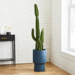 Faux Potted Cactus Plant & Medium Bishop Planter Bundle