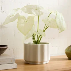 Faux Potted Dasheen Leaf Plant