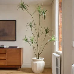 Faux Potted Dracaena