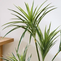 Faux Potted Dracaena Plant