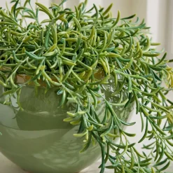 Faux Potted Drippy Plant
