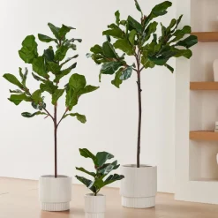 Faux Potted Fiddle Leaf Fig Trees