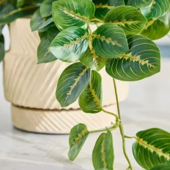 Faux Potted Herringbone Maranta Plant