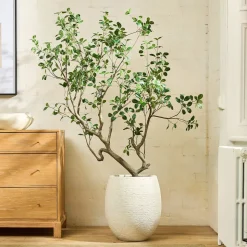 Faux Potted Manzanita Tree