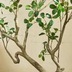 Faux Potted Manzanita Tree