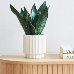 Faux Potted Snake Plant