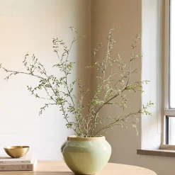 Faux Potted Sophora Prostrata Plant