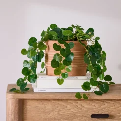 Faux Potted Trailing Leaf Plant