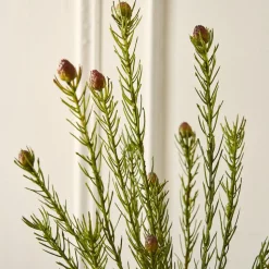 Faux Protea Stem