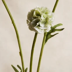 Faux Scabiosa Stem