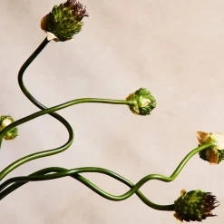 Faux Snake Ball Allium Stem
