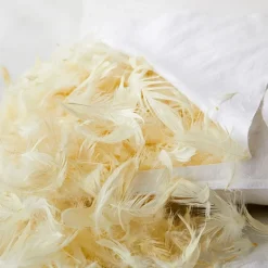 Feather Pillow Insert