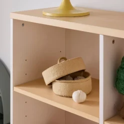 Felt Dumplings Set