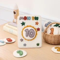 Felt Month Baby Milestone Card Set