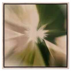Flare Framed Wall Art by Coup D'Esprit