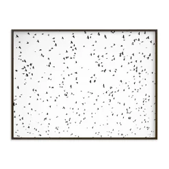Flight Pattern Framed Wall Art by Minted for West Elm