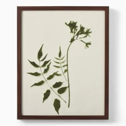 Foraged Wall Art by Minted for West Elm