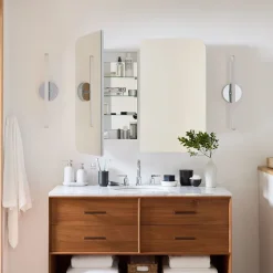 Frameless Seamless Double Wide Medicine Cabinet