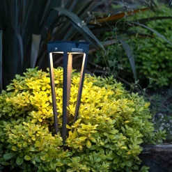 Hawi Solar Torch