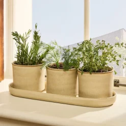 Herb Planter Trio