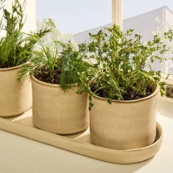 Herb Planter Trio