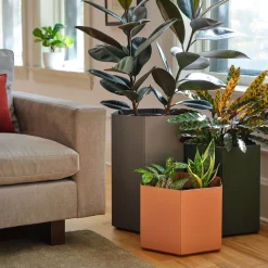 Hive Planter by Most Modest