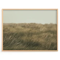 Immerse Framed Wall Art by Minted for West Elm