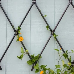 Iron Wall Mounted Lattice Trellis