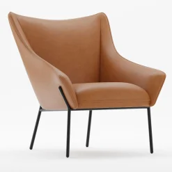 Kang Leather Lounge Chair