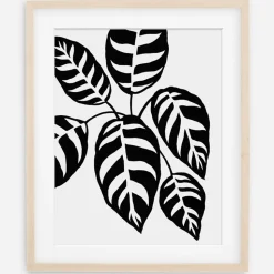 Living Pattern Framed Print - Calathea Leopardina