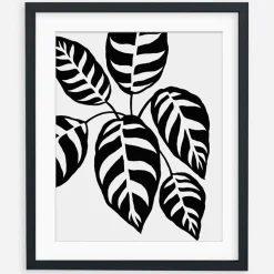 Living Pattern Framed Print - Calathea Leopardina