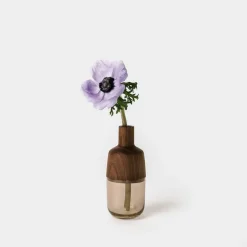 Melanie Abrantes Indira Vase