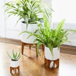 Mid-Century Turned Wood Tabletop Planters
