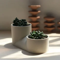 Misewell Ceramic Wall & Tabletop Planter - White