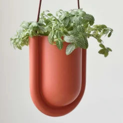 Misewell Portico Hanging Planter