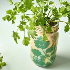 Modern Sprout Garden Jar