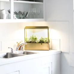 Modern Sprout Smart Growhouse