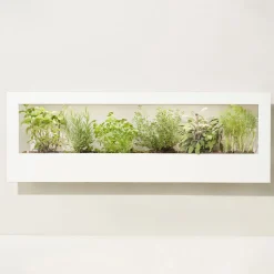 Modern Sprout Smart Landscape Growframe