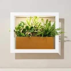 Modern Sprout Smart Matte Growframe