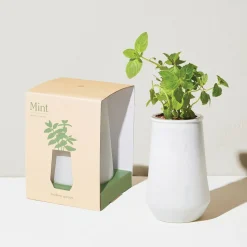 Modern Sprout Tapered Tumbler Grow Pot