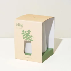 Modern Sprout Tapered Tumbler Grow Pot