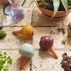 Modern Sprout Watering Bulb