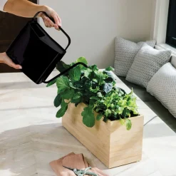 Modern Sprout Watering Cans