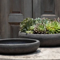 Nico Bowl (Set of 2)