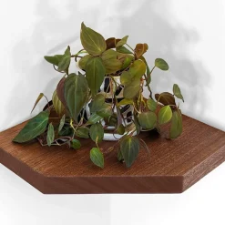 Nook Woodworking Floating Corner Shelf with Straight Edge (12"–16")