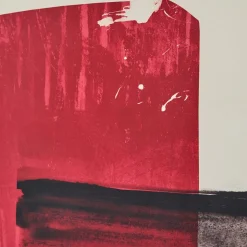 Patch of Red Wall Art