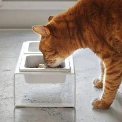 Pet Food Bowls