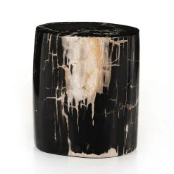 Petrified Wood Side Table (12")