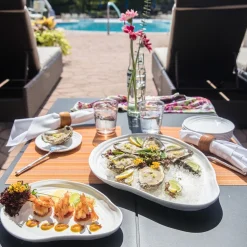 Playa Outdoor Melamine Dinnerware Collection