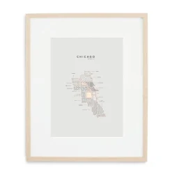 42 Pressed City Maps - Chicago